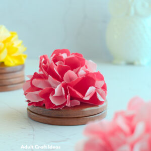 Read more about the article How to Make Paper Flowers with Napkins