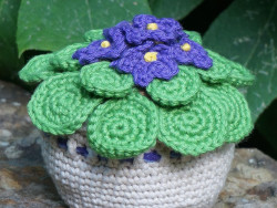 Crochet African violets.